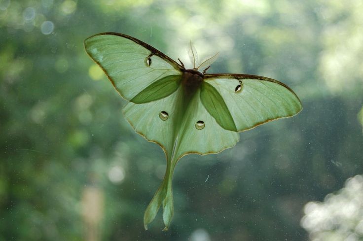 𓍊˖ ࣪⊹ tweet media