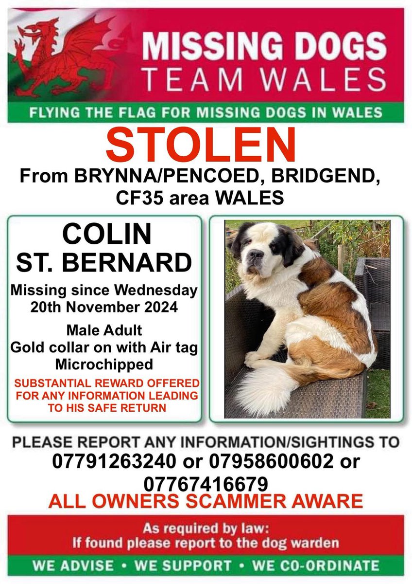 #stolenColin 
Please retweet and get Colin home! 
He needs to be with his family!! 
#brynna #pencoed #missingdog #stolencolin