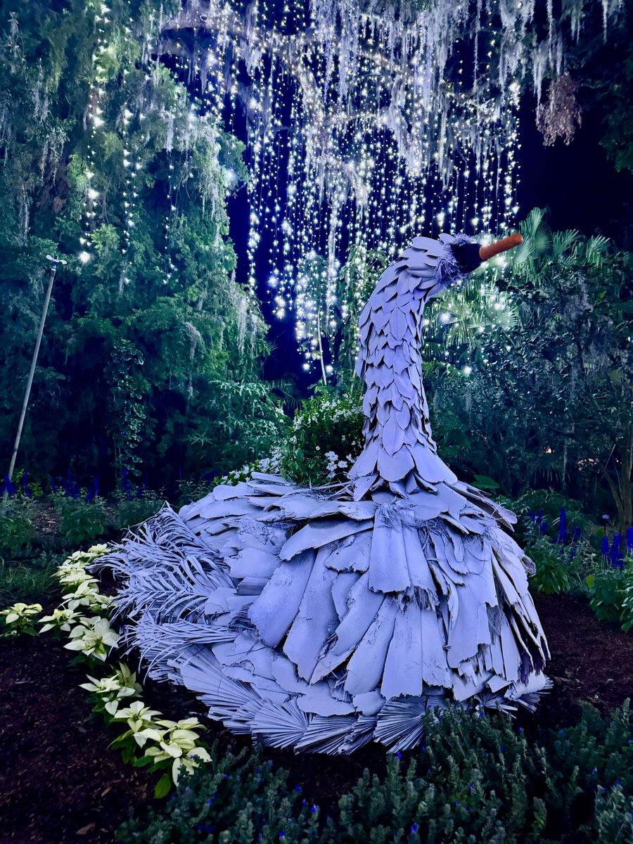 Orlando Magazine tweet media