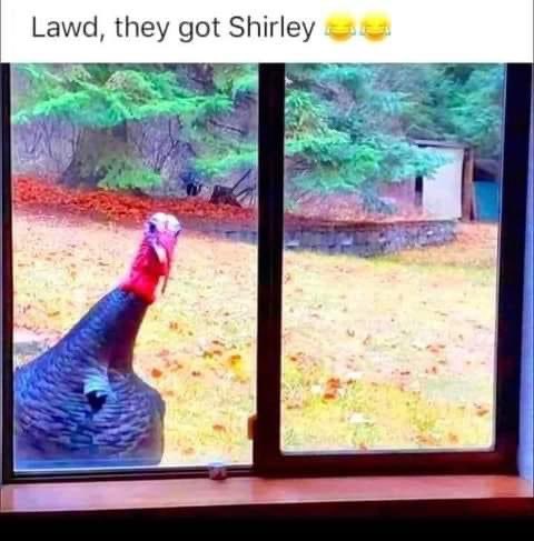 TowandaToU's tweet image. 