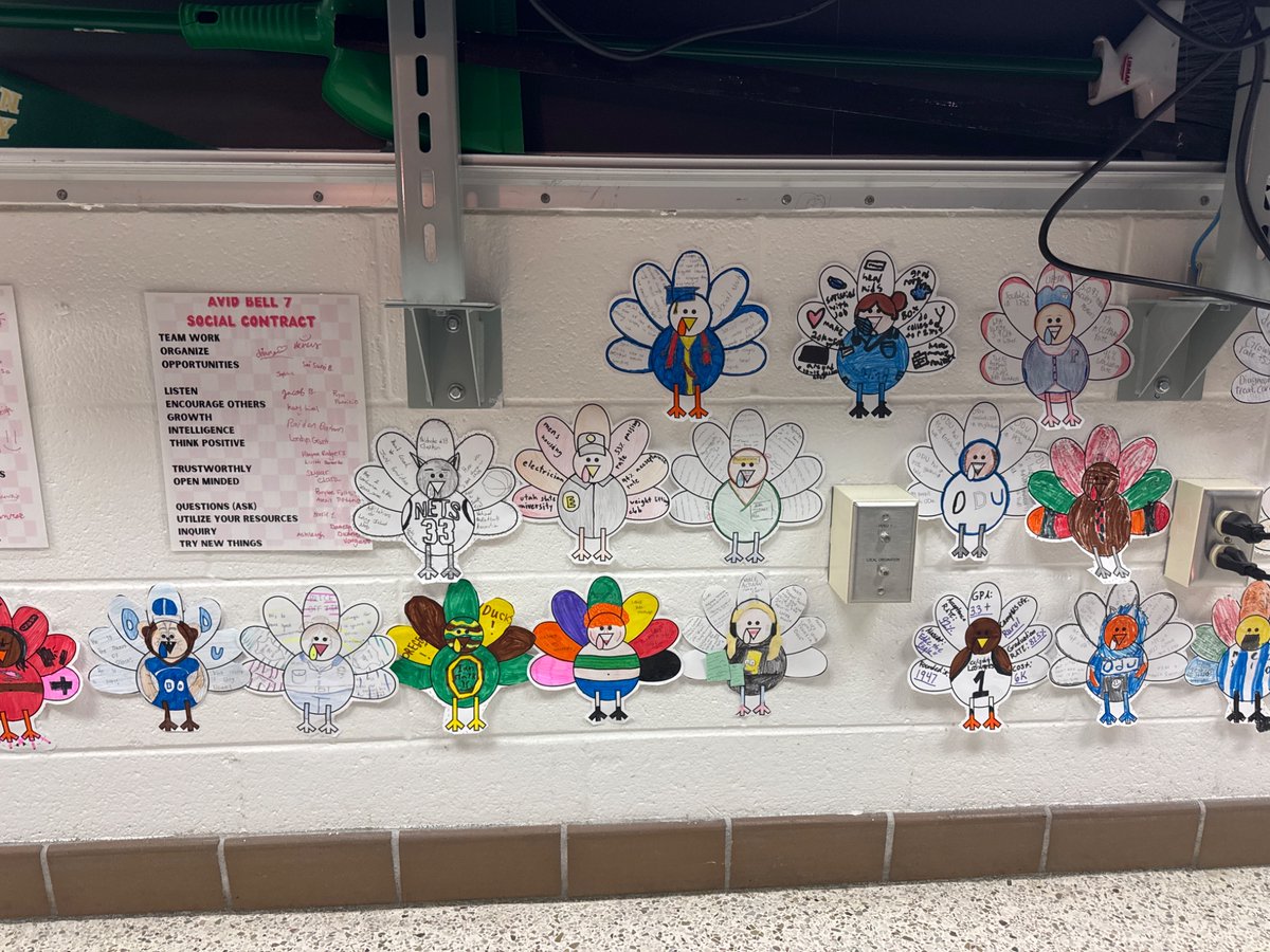 AVID SHARK tweet media