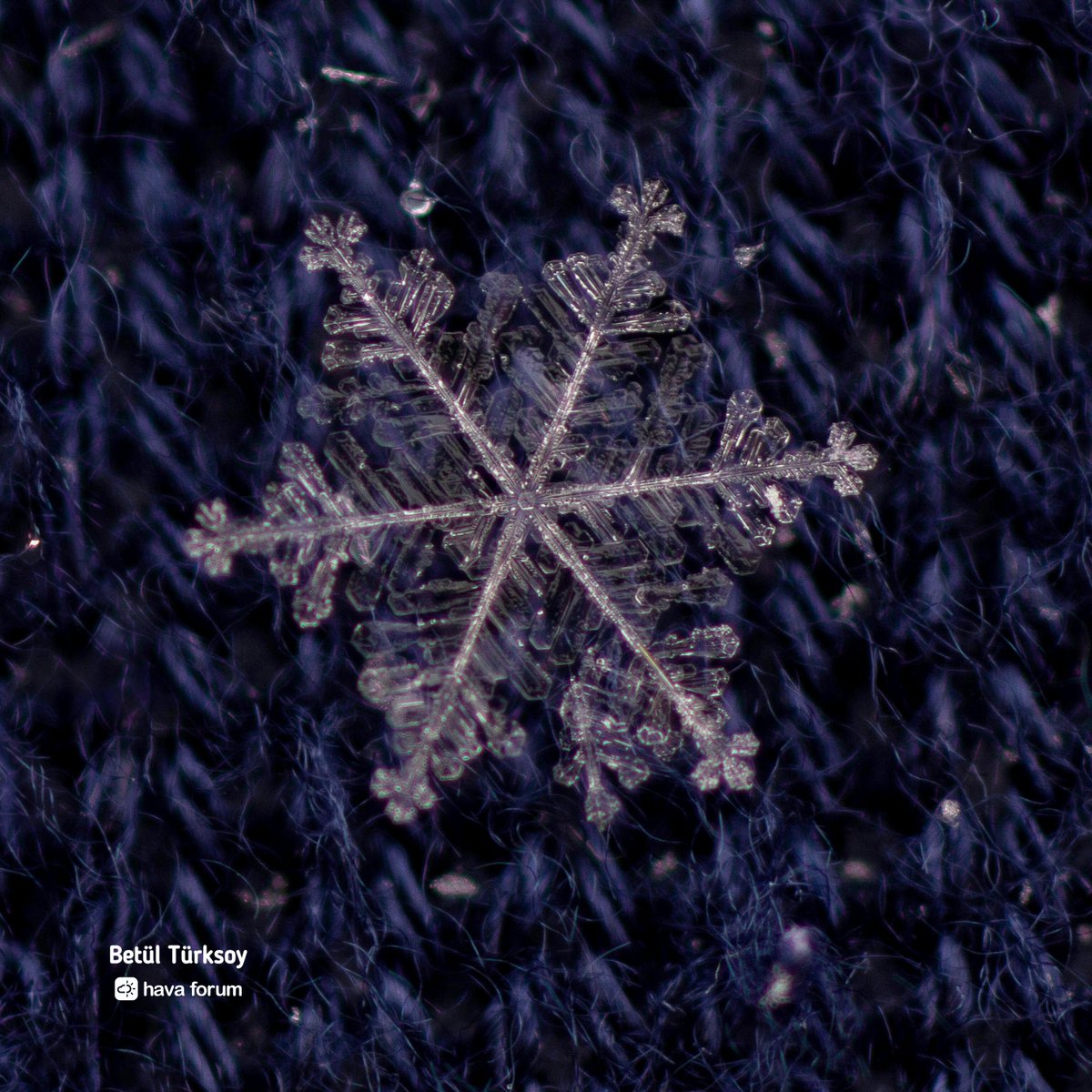 HavaForum's tweet photo. Kayseri'de fotoğrafçı Betül Türksoy kazağına düşen kar tanelerini yakından böyle çekmiş. Harika... ❄️🤍 https://t.co/bZrGiIiWN8