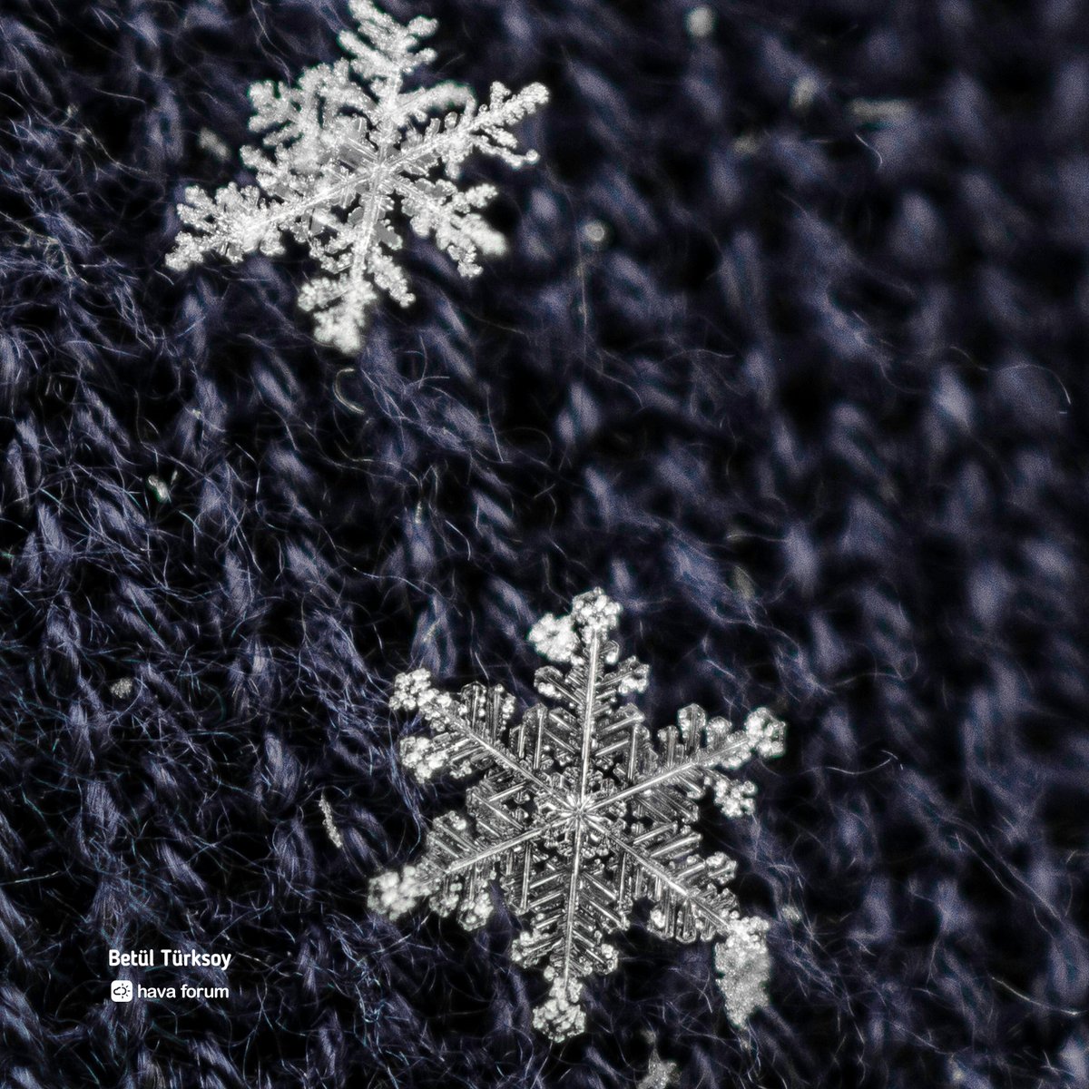 HavaForum's tweet photo. Kayseri'de fotoğrafçı Betül Türksoy kazağına düşen kar tanelerini yakından böyle çekmiş. Harika... ❄️🤍 https://t.co/bZrGiIiWN8