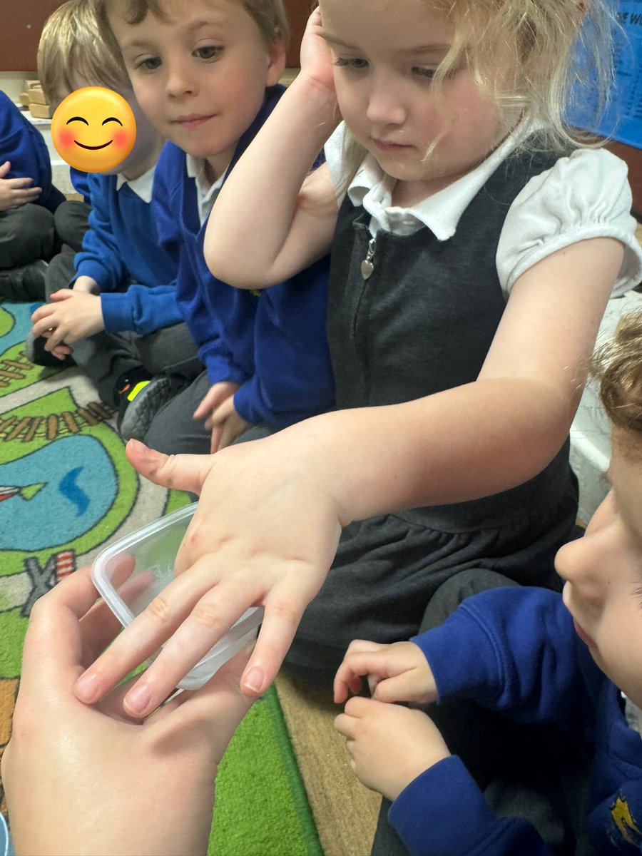 Shoreside Reception tweet media