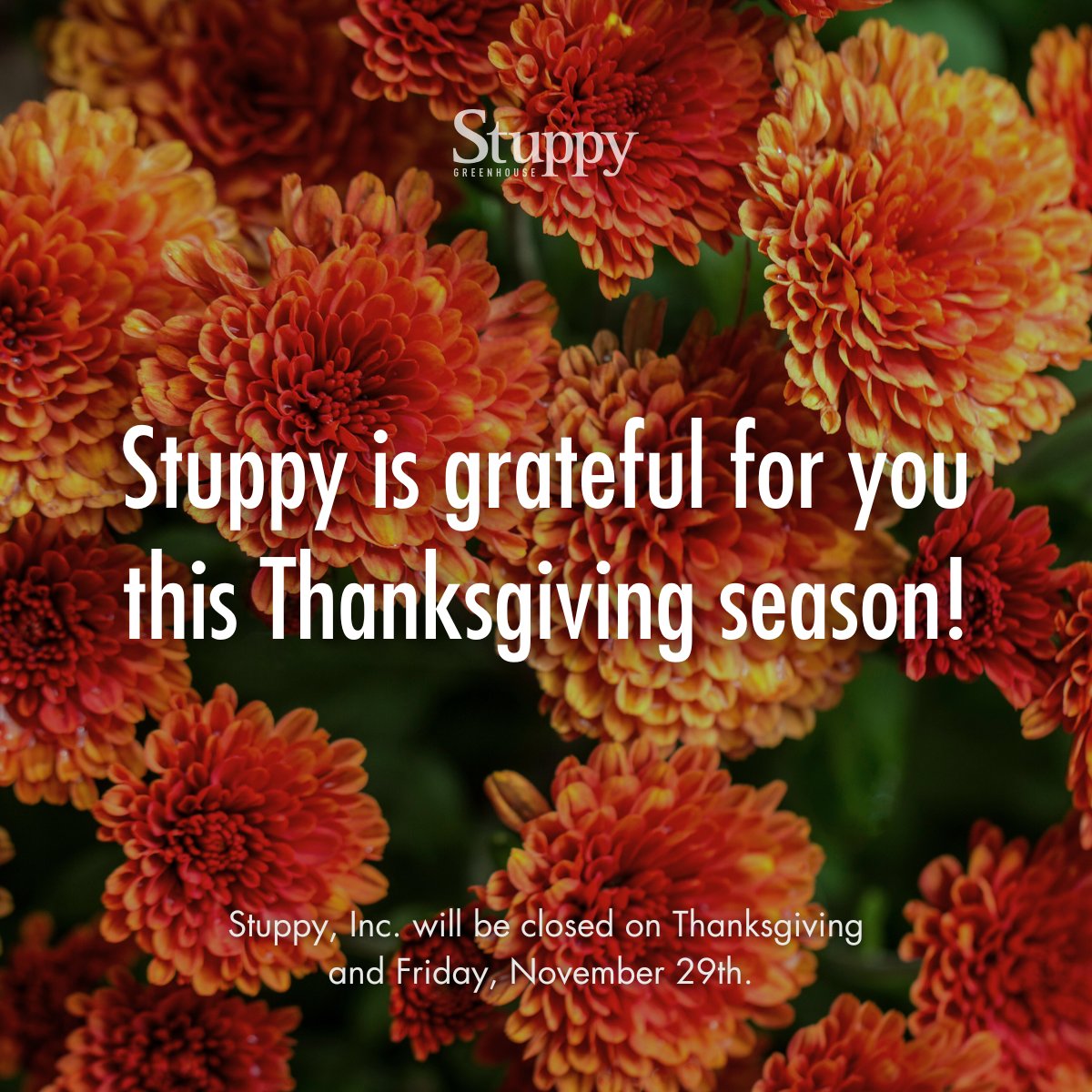 Happy Thanksgiving, y'all! This season, we’re thankful for the incredible customers &amp; employees who make Stuppy what it is.

We’ll be closed today &amp; Friday, November 29th. But don’t worry—we’ll be back Monday morning, ready to help you! 🤎

#GrowStrongerWithStuppy #Thanksgiving