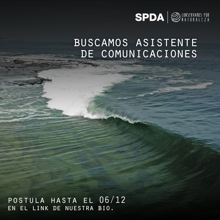 🌟 #OportunidadCxN: Buscamos Asistente de Comunicaciones.

🌱 Funciones: implementar estrategias de comunicación y generar contenidos digitales en el proyecto Gestión de Ecosistemas de Surf y Economía Azul.

📣 Todos los detalles aquí: bit.ly/4eQId7Y