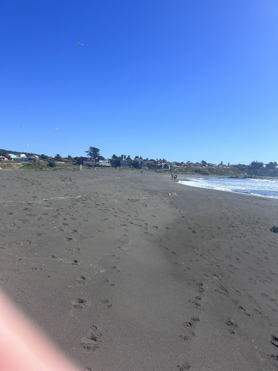 Første løbetur i Chile 🇨🇱 fantastisk at få løbet og en skøn måde at se området på! #twrundk