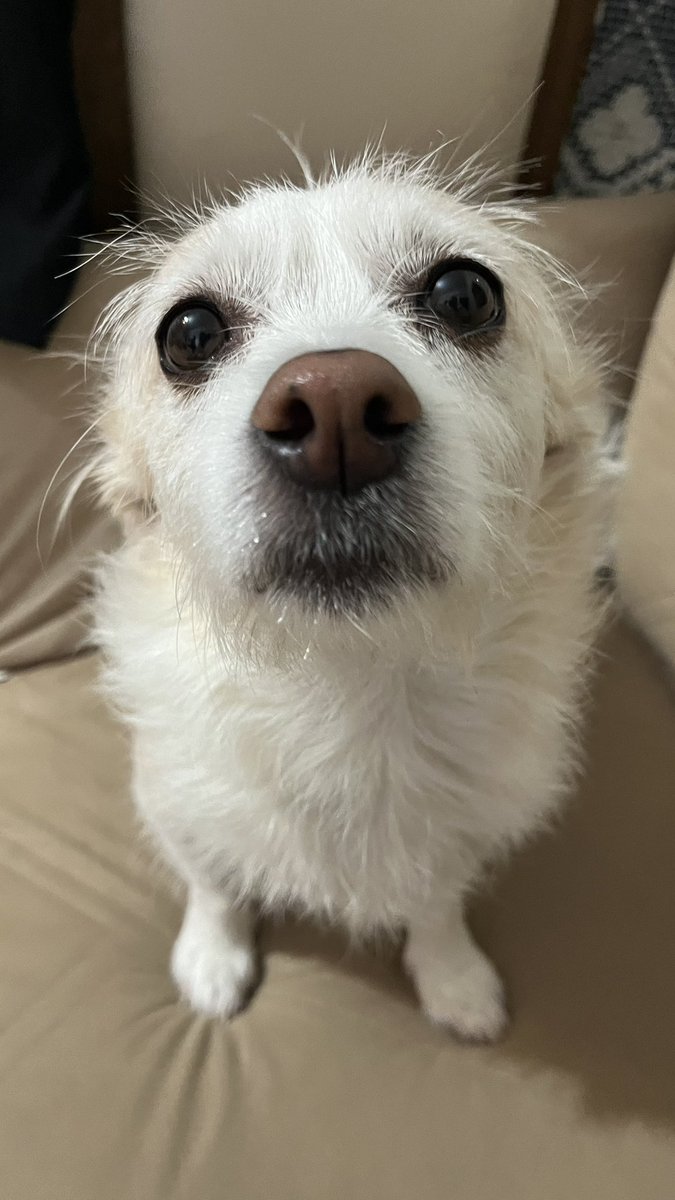 bana bilnedigim bi sey soyle