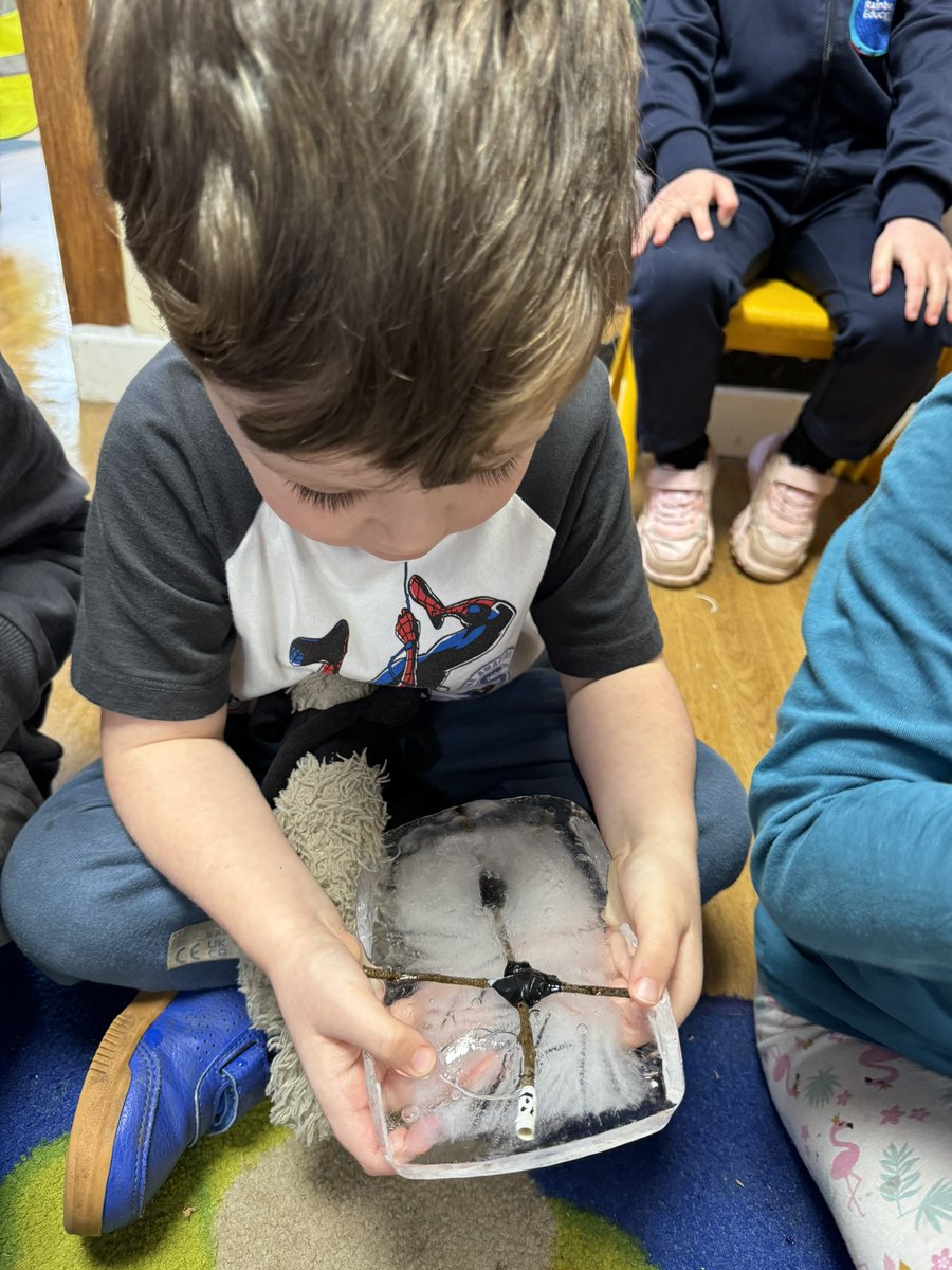 Shoreside Reception tweet media