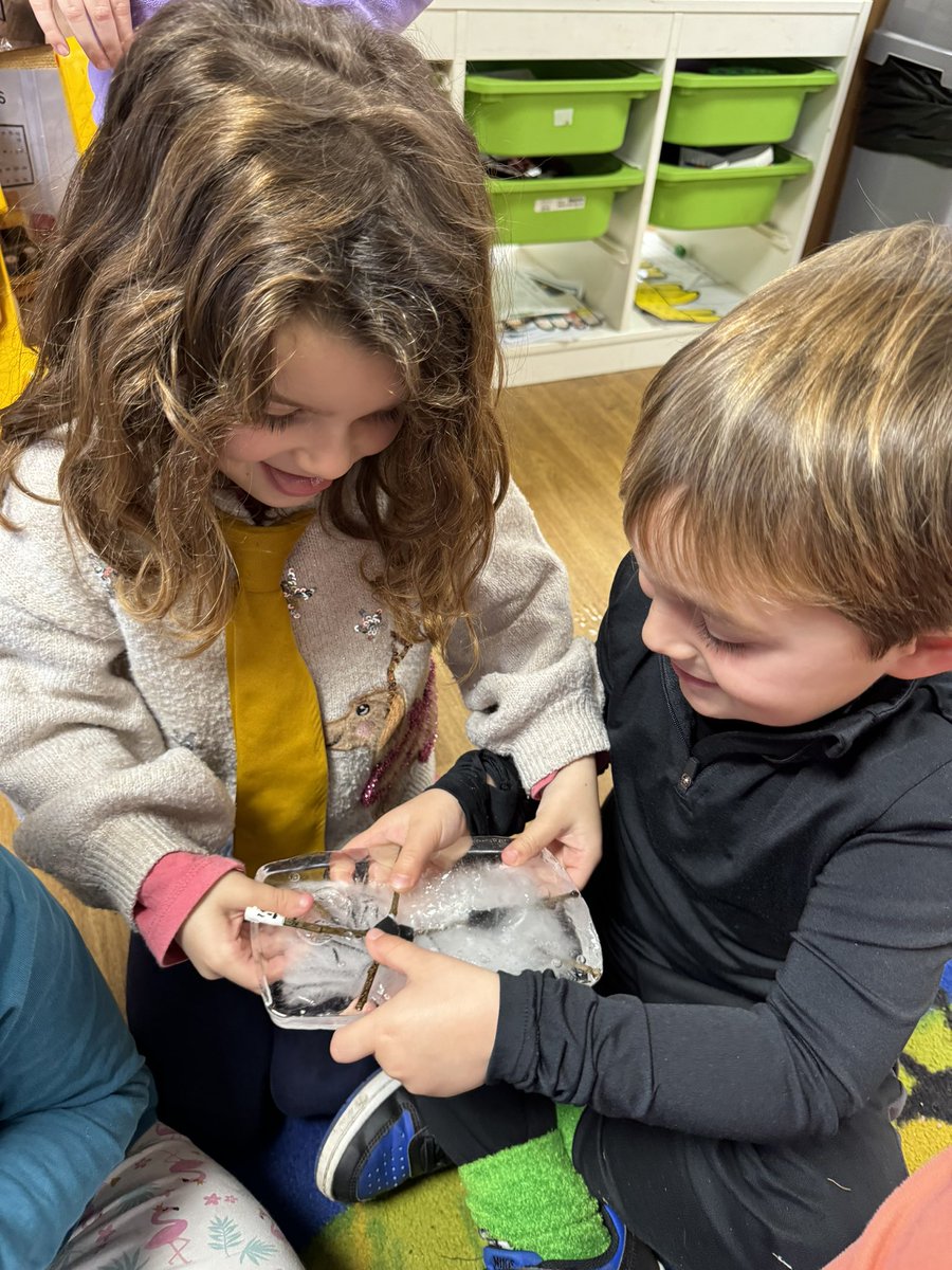 Shoreside Reception tweet media