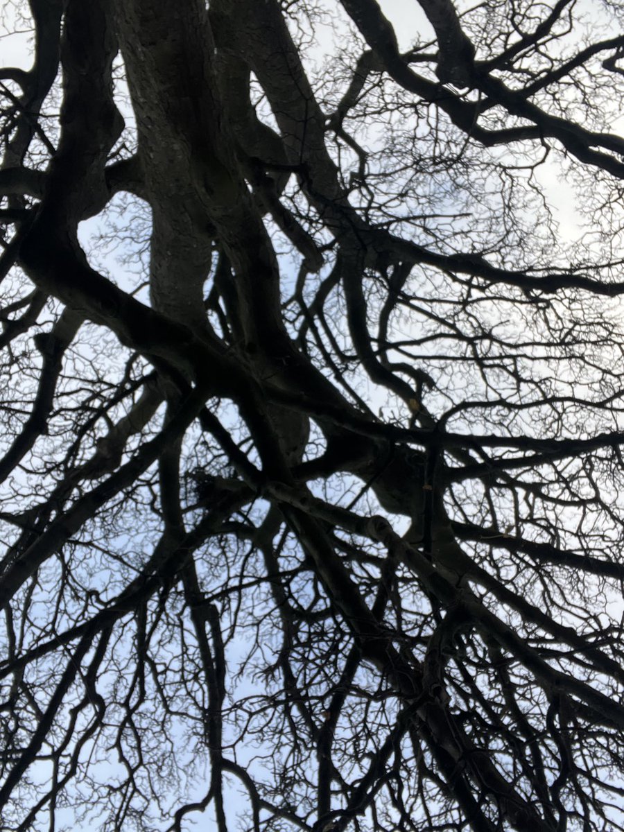 Mrs Mack tweet media