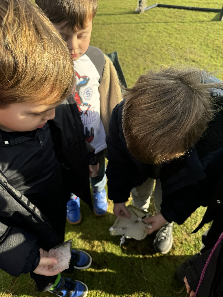 Shoreside Reception tweet media