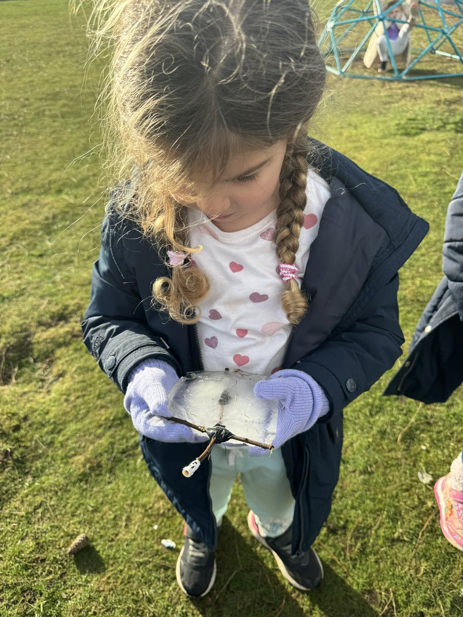 Shoreside Reception tweet media