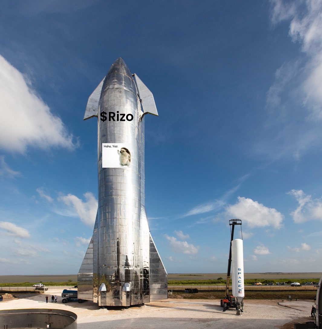 StarterAsh_'s tweet photo. @elonmusk https://t.co/aXyPMRrGzl