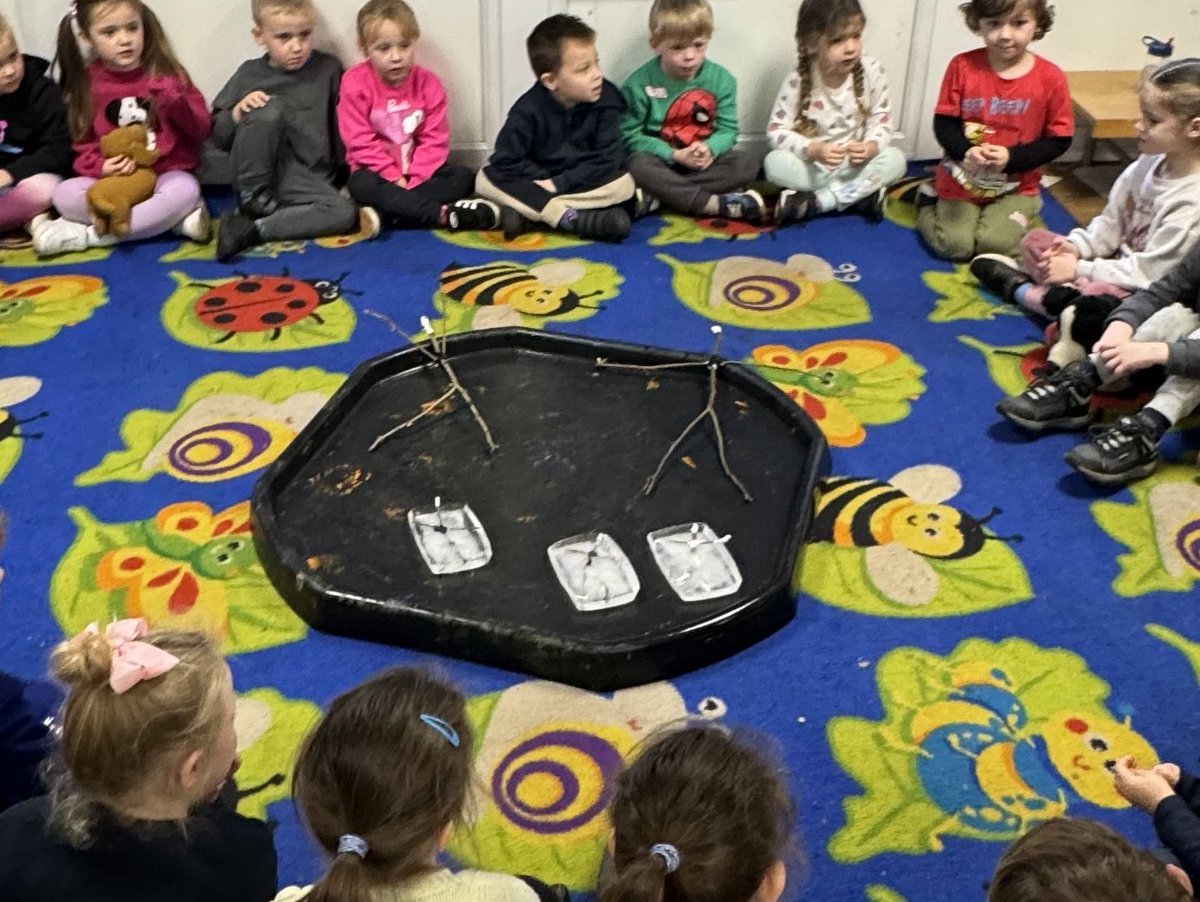 Shoreside Reception tweet media