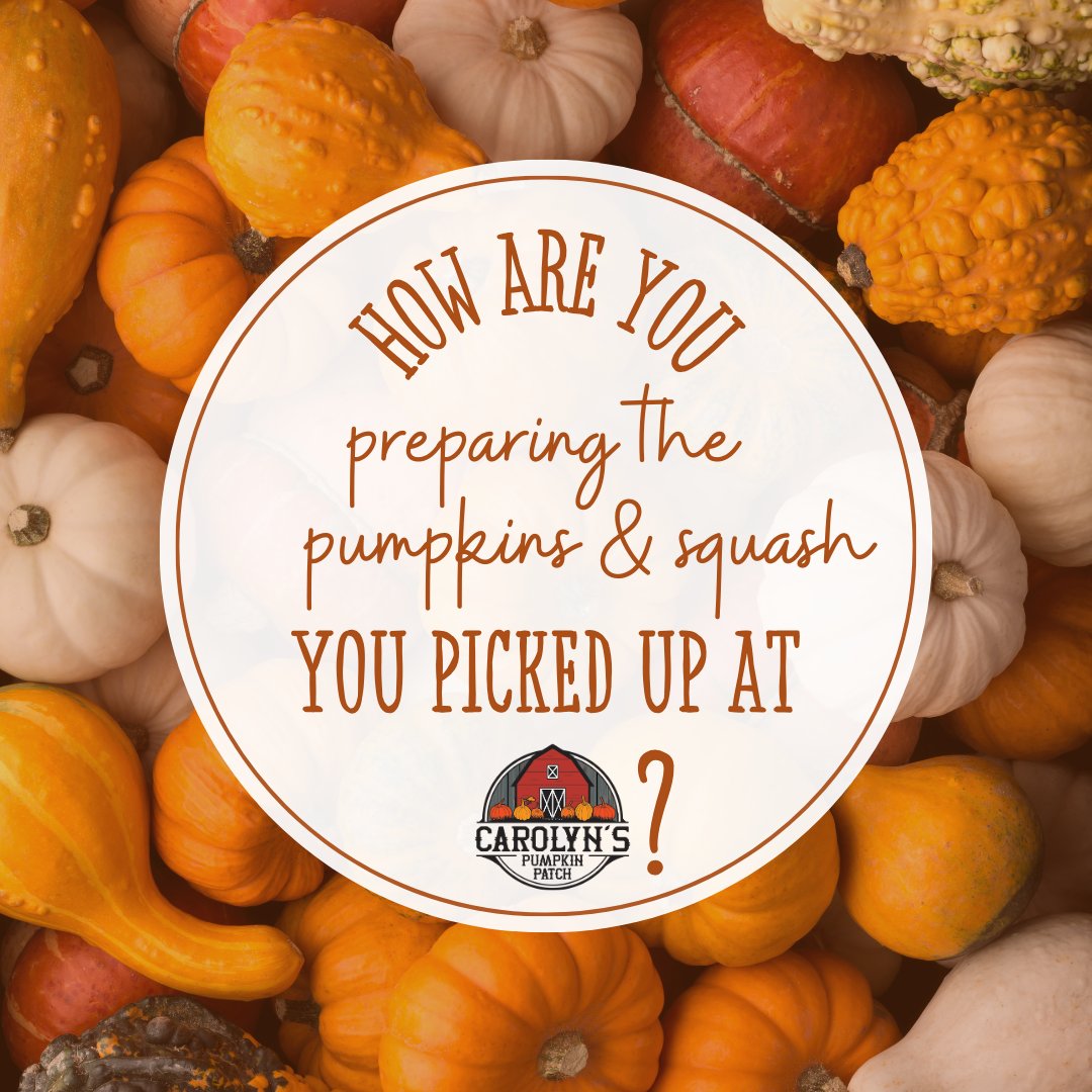 As we all get ready for Thanksgiving, how are you preparing the pumpkins and squash you purchased at Carolyn's Pumpkin Patch this season?