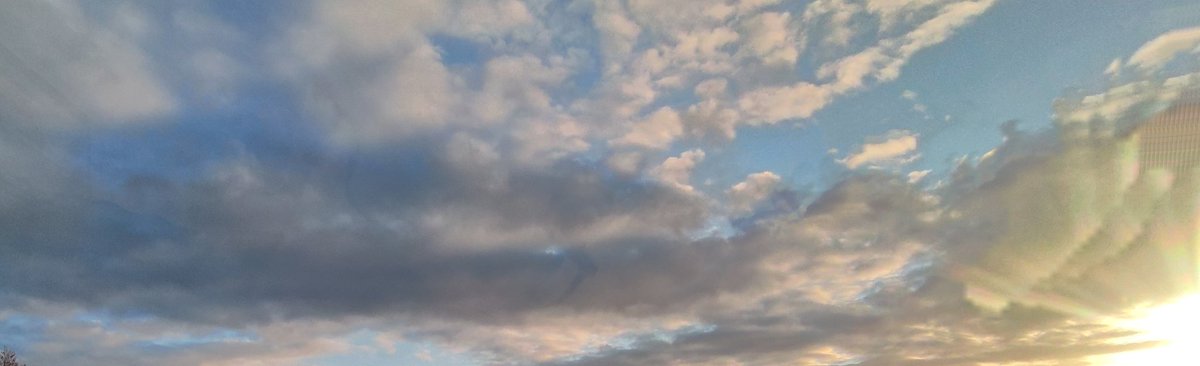 So good to see the EcoEvo community building up where the skies are blue 🌥️🐛

I'm sailing over there at 🦋 lepidosrachit.bsky