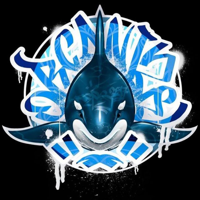 KILLER WHALES tweet media