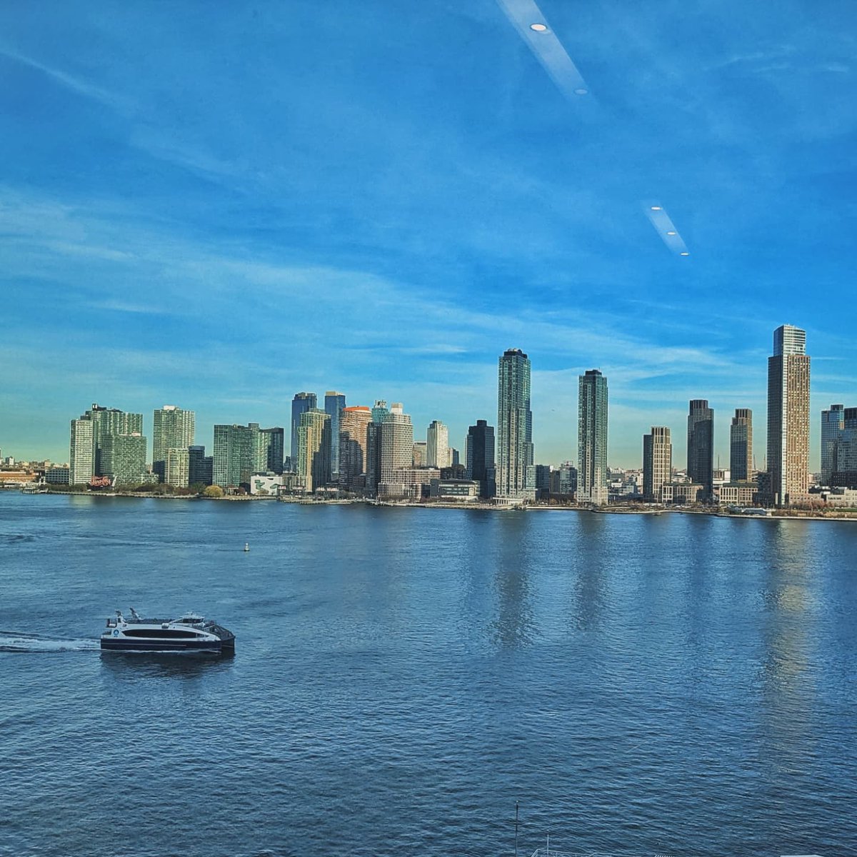 Yesterday was our annual #labsgiving <a href="/nyulangone/">NYU Langone Health</a> including the Pie Baking contest! Happy to celebrate with our research community. Grateful for our wonderful science peers 🦃👩🏻‍🔬 #orthotwitter #womeninstem #thisiswhatsciencelookslike #thankful #PhDlife #newyorkornowhere