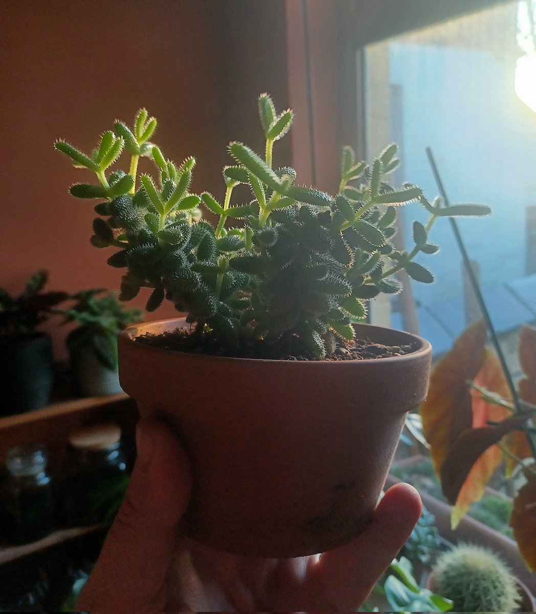 rickretweets tweet media