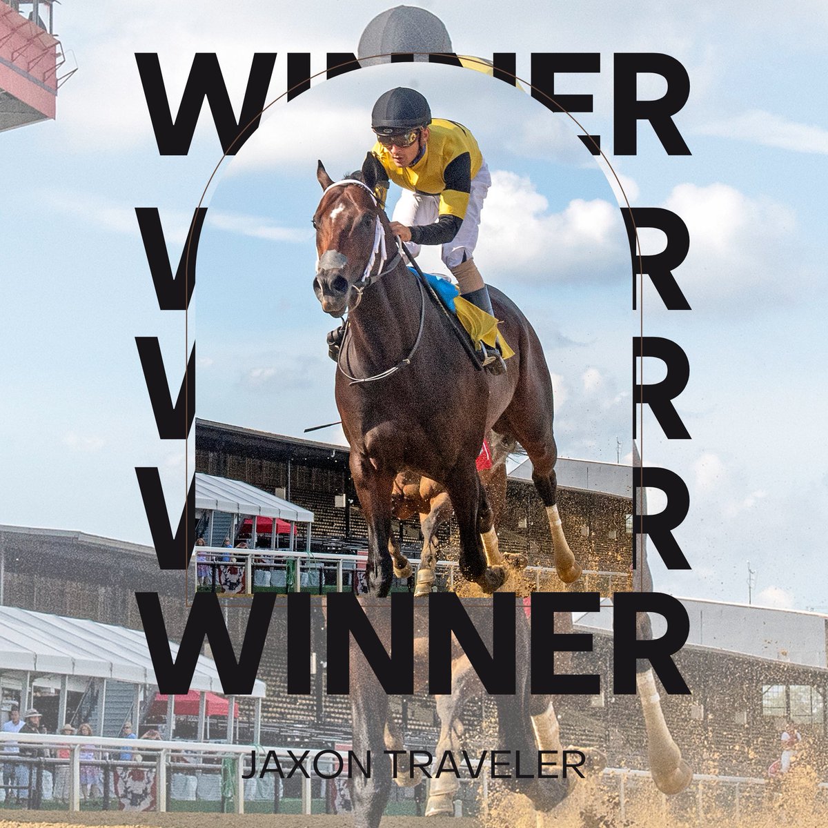 Saints or Sinners Racing & Trinitas Place Farm tweet media