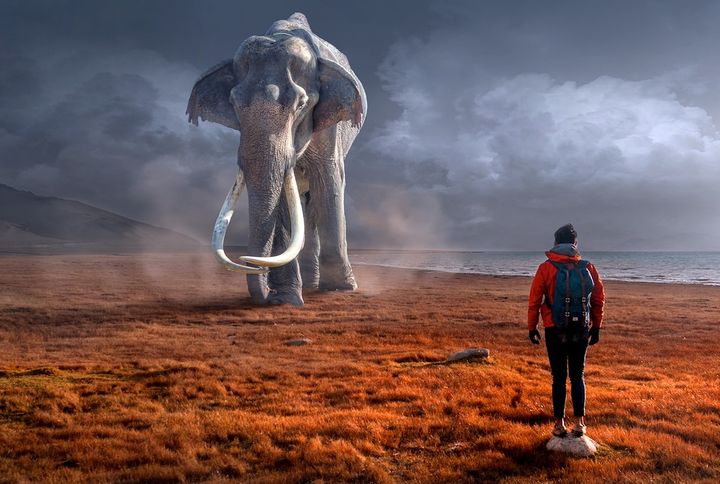 Who’s The Biggest In 3D Printing, November 24, 2024 fabbaloo.com/news/whos-the-… #3DPrinting #AdditiveManufacturing