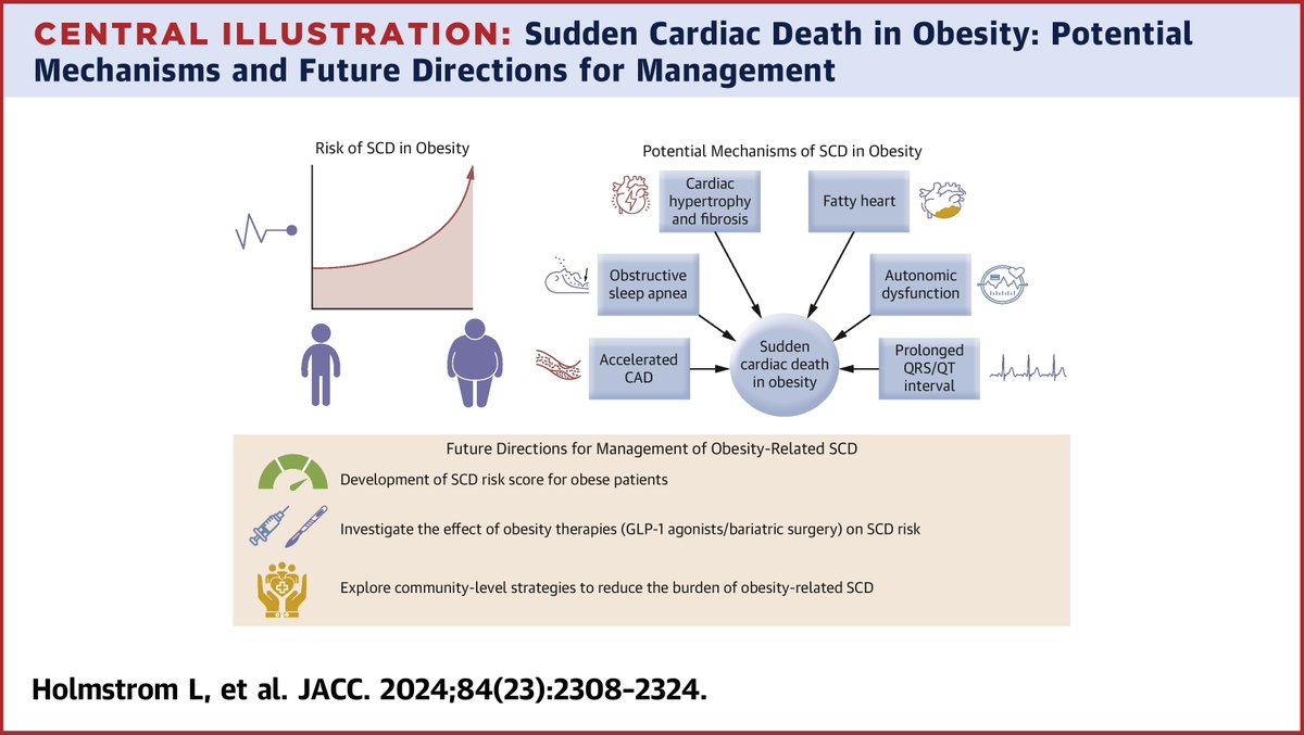 Did you know that SCD in #obesity is on the rise? 🤔 See the latest on mechanisms and management in this week’s #JACC review: bit.ly/4fHbmU9 #cvCAD