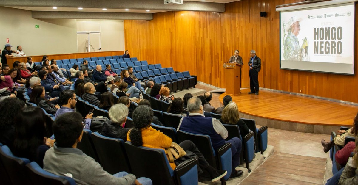 UASLP (@lauaslp) on Twitter photo 🔳 #UASLP presenta el proyecto “Hongo Negro” para impulsar el cultivo del 🌽 huitlacoche, con innovación agroindustrial e impacto social. Es liderado por el doctor Hilario Charcas de <a href="/IngenieriaUASLP/">Facultad de Ingeniería UASLP</a>
🌐 Conoce los detalles: wp.uaslp.mx/noticias/inves…
<a href="/AJZGrector/">Alejandro Zermeño Guerra</a> <a href="/SIP_UASLP/">SIP • UASLP</a> 🔳 #UASLP presenta el proyecto “Hongo Negro” para impulsar el cultivo del 🌽 huitlacoche, con innovación agroindustrial e impacto social. Es liderado por el doctor Hilario Charcas de <a href="/IngenieriaUASLP/">Facultad de Ingeniería UASLP</a>
🌐 Conoce los detalles: wp.uaslp.mx/noticias/inves…
<a href="/AJZGrector/">Alejandro Zermeño Guerra</a> <a href="/SIP_UASLP/">SIP • UASLP</a>
