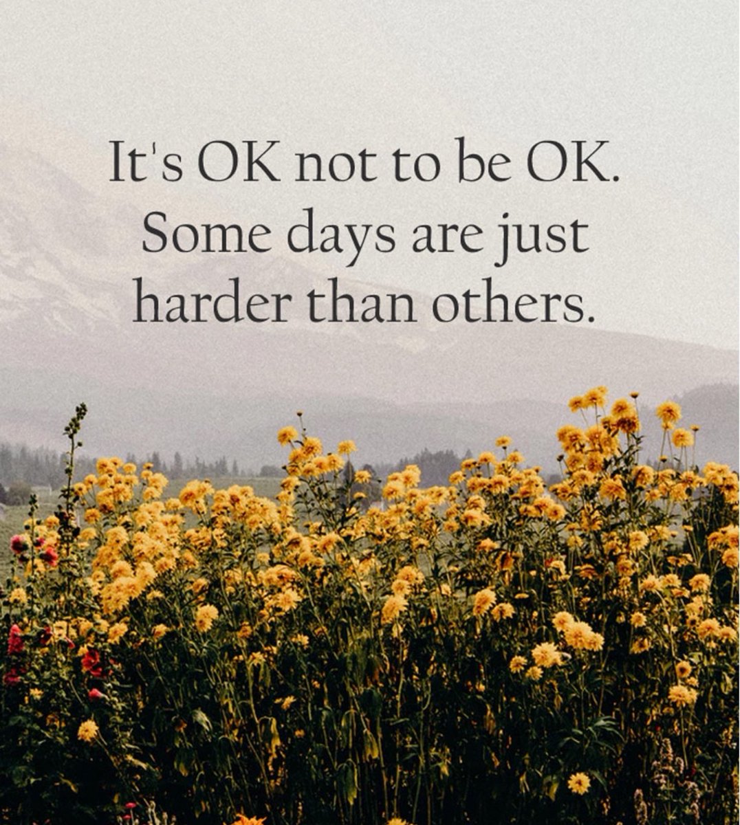 Mind Essentials tweet media