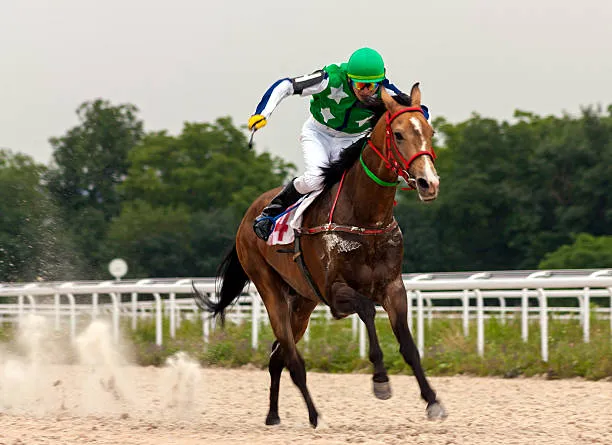 Tipsters_edge's tweet photo. Tomorrow's Wetherby Tracker Horse💎

13:00
SKYCUTTER
 @ 3.00, 2/1 

Can't see the Dan Skelton trained Skycutter losing here at Wetherby. Based off form, it is clear of the rest of the field and should be able to win with ease here. https://t.co/fJbQYQHhfg