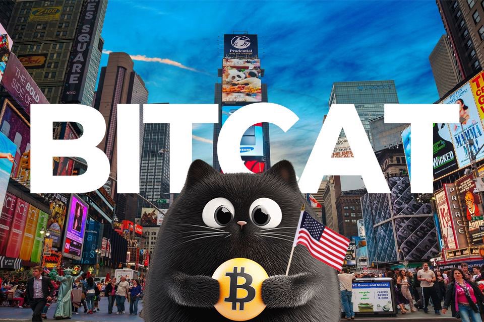 platinaX0's tweet photo. @BitCat_sol_ @BitCat_sol_ 
$BITCAT ☄️💥💯💪🏻🚀
#BitCatArmy #BitcoinMascot #BitcatSOL https://t.co/228aORyTmX