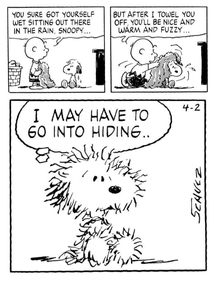 Daily Snoopy tweet media