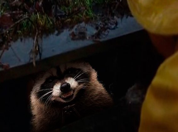 Hi Georgie, don’t you want some $FRED ? …

⣯⣕⣦⣤⣷⣷⣤⣤⣪⣽⠄
⠀⢯⠟⠛⠛⢿⡿⠛⠛⠻⣽⠀
⣠⢃⣴⢻⣽⢸⡇⣯⣙⣦⡘⣄
⢿⣯⣭⡍⢉⢦⡴⠉⢩⣭⣽⡟
⠀⠉⠻⢷⣈⡈⣁⣁⡾⠟⠉⠀