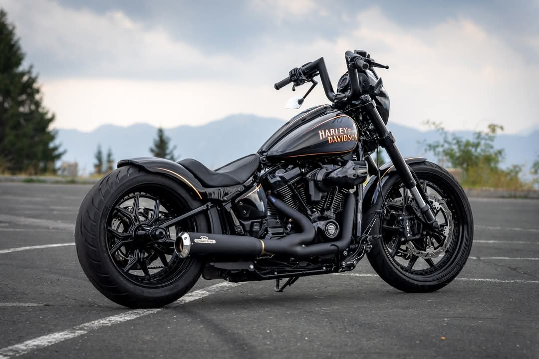 Vincenzo (@vincenz14377814) on Twitter photo 