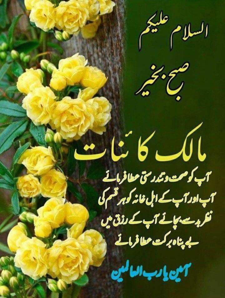 السلام علیکم ورحمة الله وبركاته
صبح بخیر 

 اے اللہ ہم سب کو عزت، صحت، محبت دولت، شفقت، رحمت و كشادہ رزق عطاء فرما۔
 اے اللہ ہمیں دکھ، درد، تکلیف، 
پریشانیوں سے محفوظ رکھ ،
رب العالمین ہم سب کو دنیاو آخرت کی
 تمام بھلائیاں عطاء فرما دے۔ اور ہماری دنیاوآخرت سنوار دے

 آمین