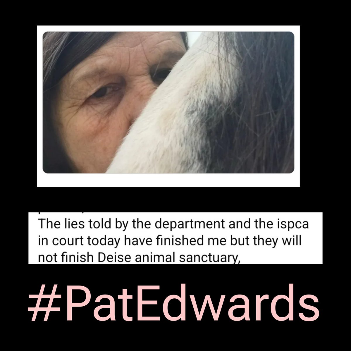 catlowry54's tweet image. 6 million in grants  divided by over 100 rescues to deal with an animal welfare crisis whilst #DAFM own welfare section only works 9-5 5 days a week.Do they expect 5 star facility from a sanctuary on their knees trying to cope with numbers? #Disgrace