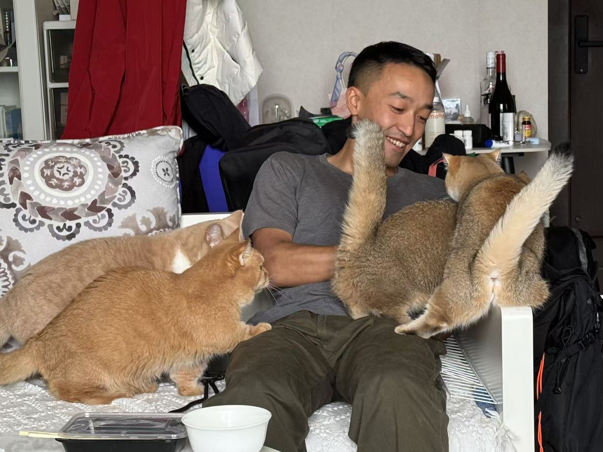 Fanger23's tweet photo. 朋友家里5只猫4只都是曼基康，这体验没谁了🥹 https://t.co/vrHeLfGaKe