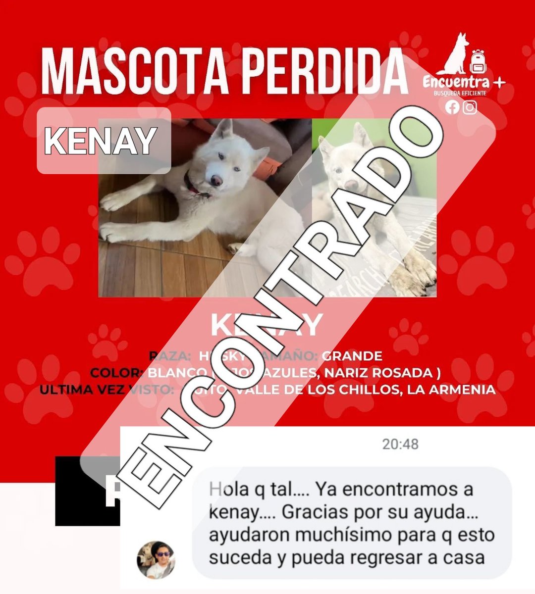 AlertaMePerdi's tweet photo. Nos complace informar que #KENAY, ya se encuentra con sus tutores, gracias a tod@s por compartir la información. https://t.co/g1DtaM4dvj