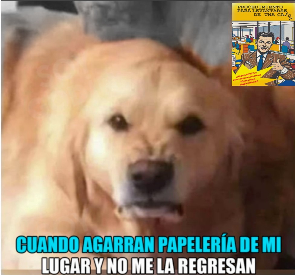 Típico de Fred. Take it Easy man 😊
Sábado 14 de diciembre a las 7pm estrenamos: *Procedimientos para levantarse de una caída" en <a href="/casa/">casa</a>.circo 
$150.00 entrada general ✨
🙋Actuación de Roberto Tejeda 
📖Dramaturgia Carlos Rodríguez 
🪄Dir. Ana Várguez 
🥧Prod. Cristy Vázquez