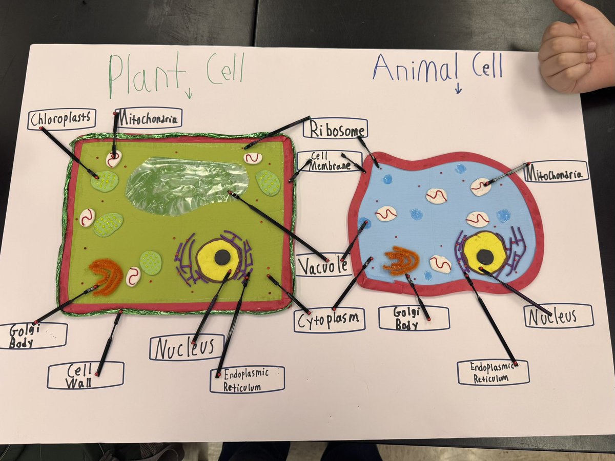 Amanda Nutt tweet media