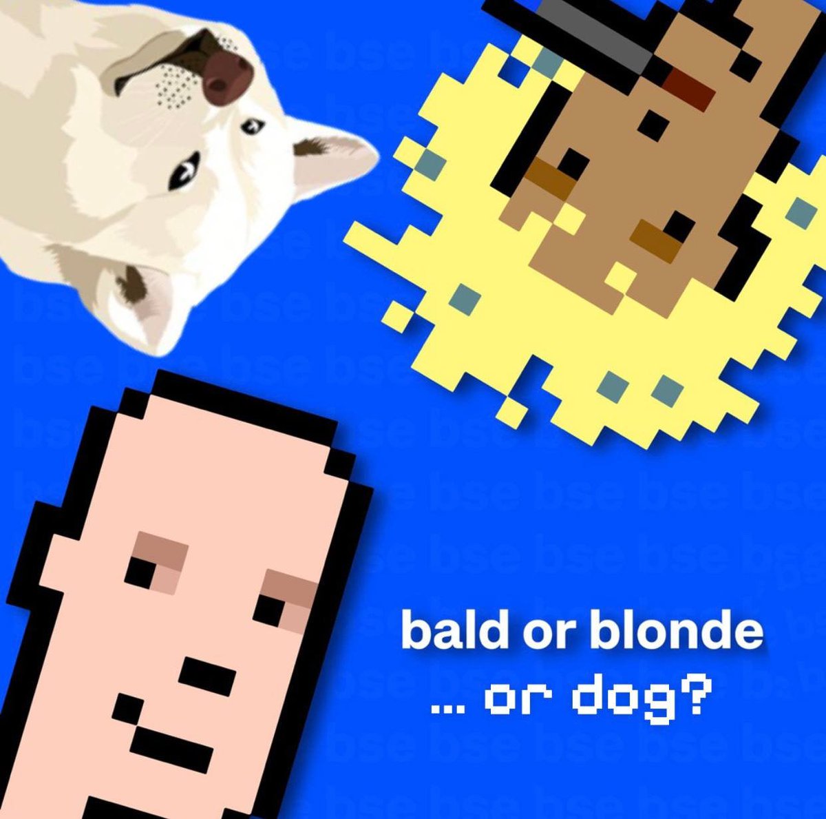 Bald, Blonde... or Dog?