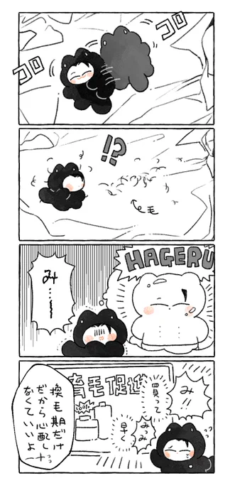 冬毛ちみ 