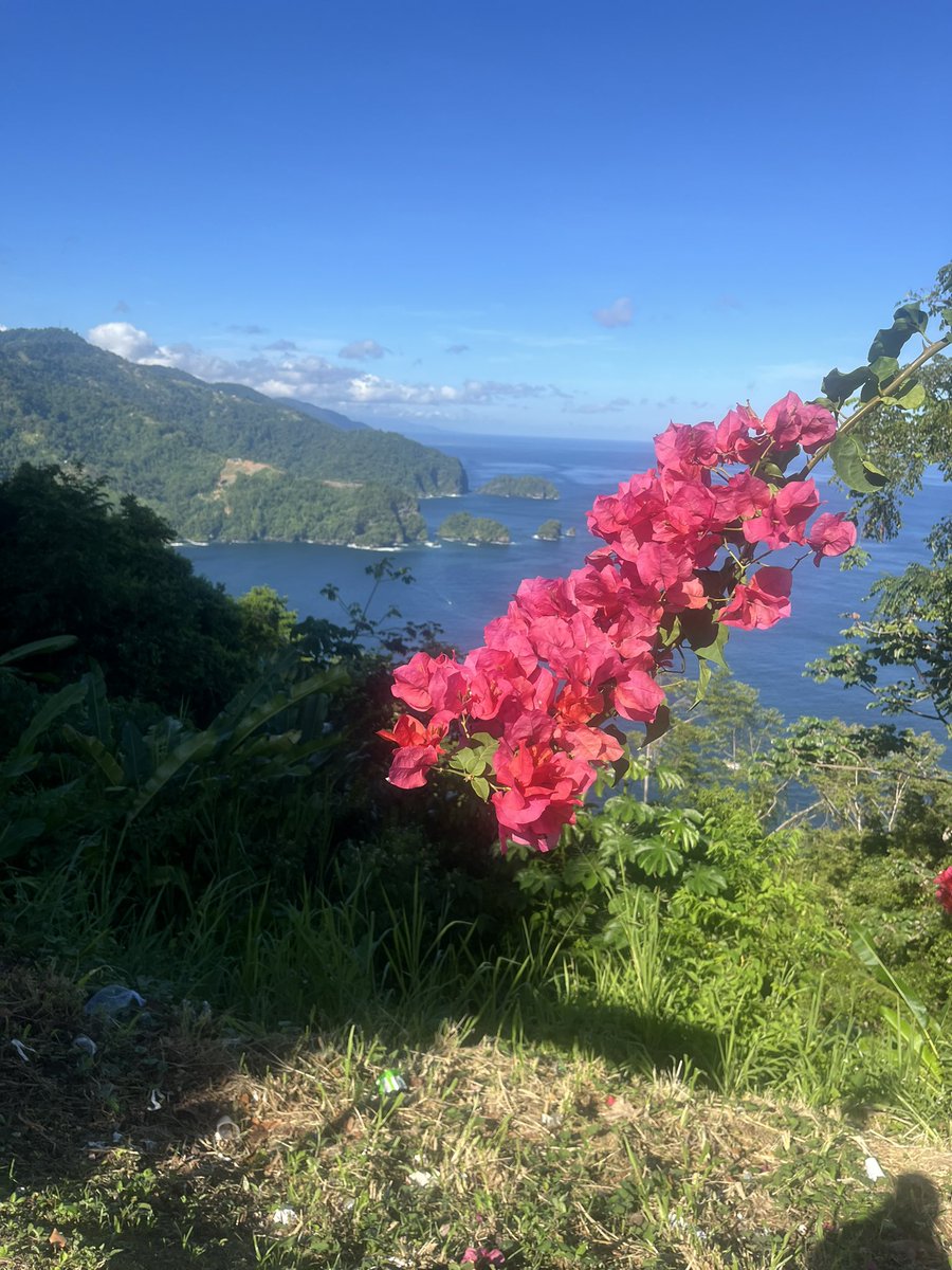 shawteyduwop's tweet photo. Trinidad and Tobago 🇹🇹 https://t.co/RmsrkKXUCi