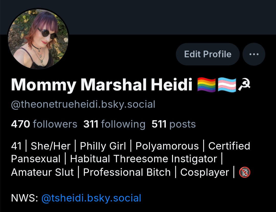 Mommy Marshal Heidi 🏳️‍🌈🏳️‍⚧️☭ tweet media