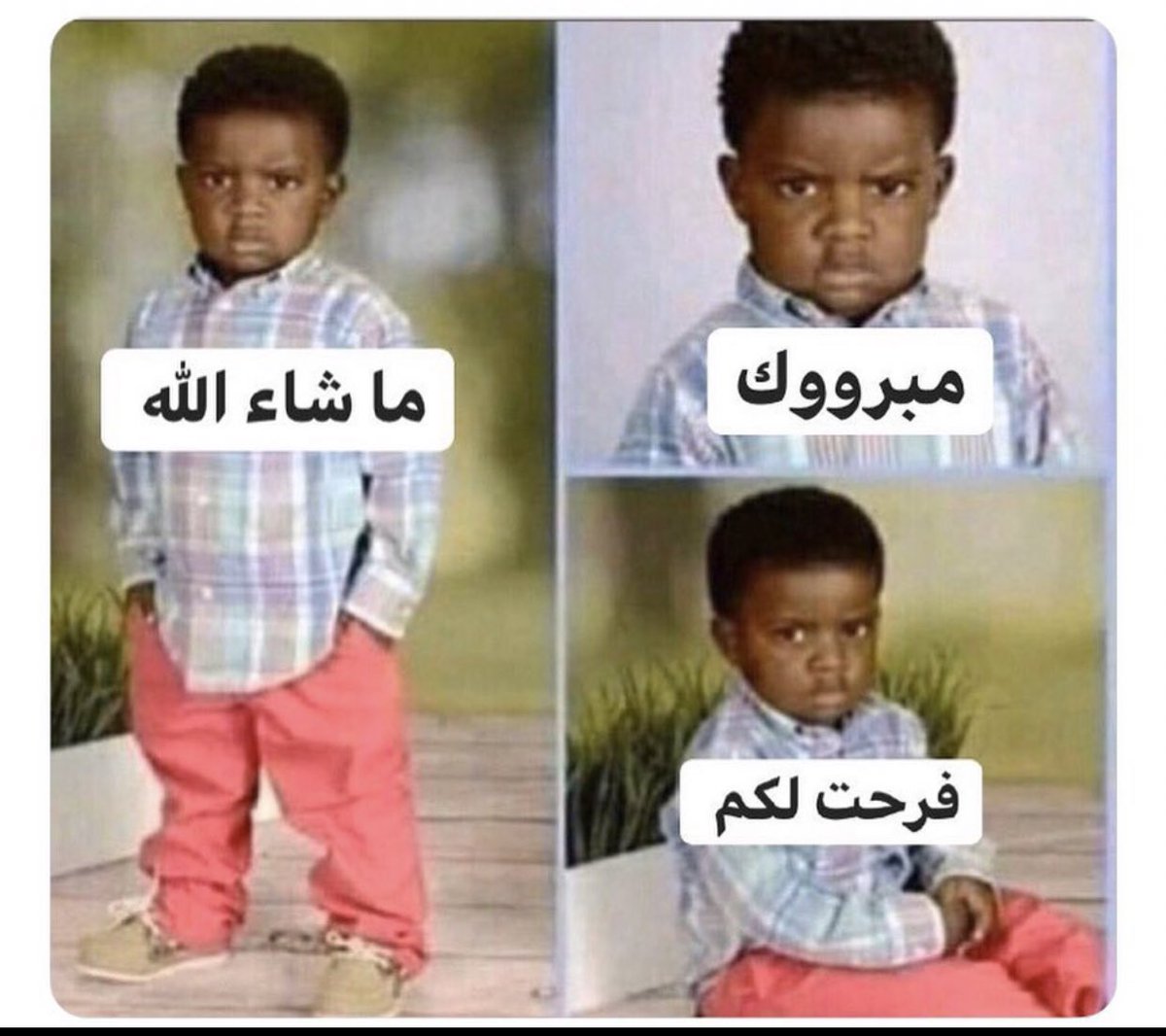 𝕙𝕞𝕕 tweet media