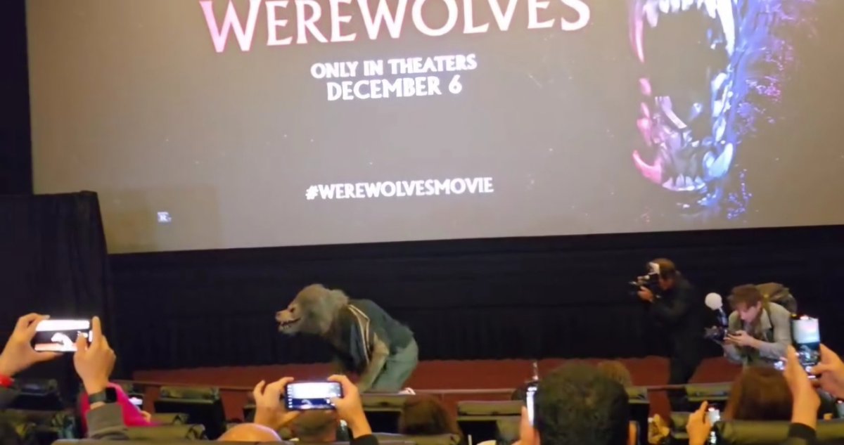 Antonio J tweet media