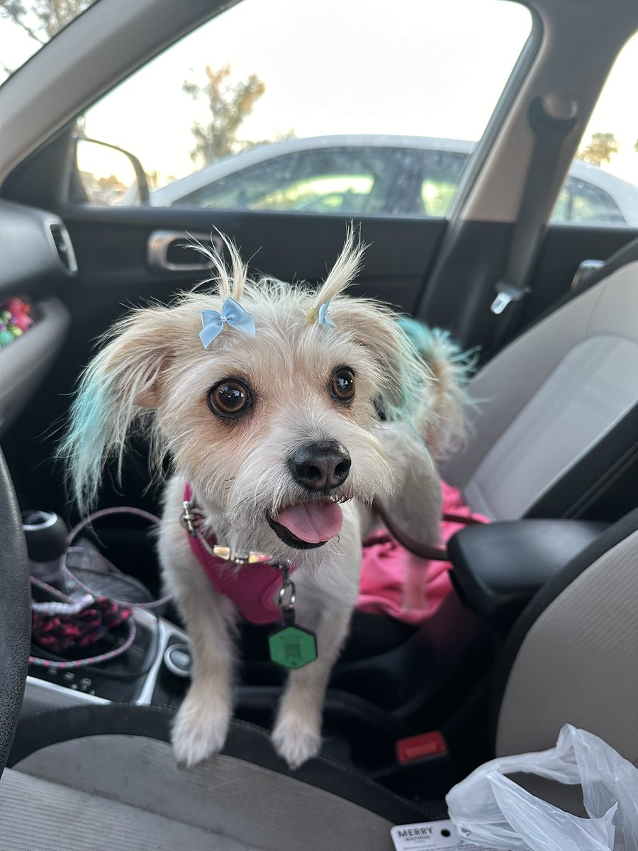 blythe🌿 tweet media