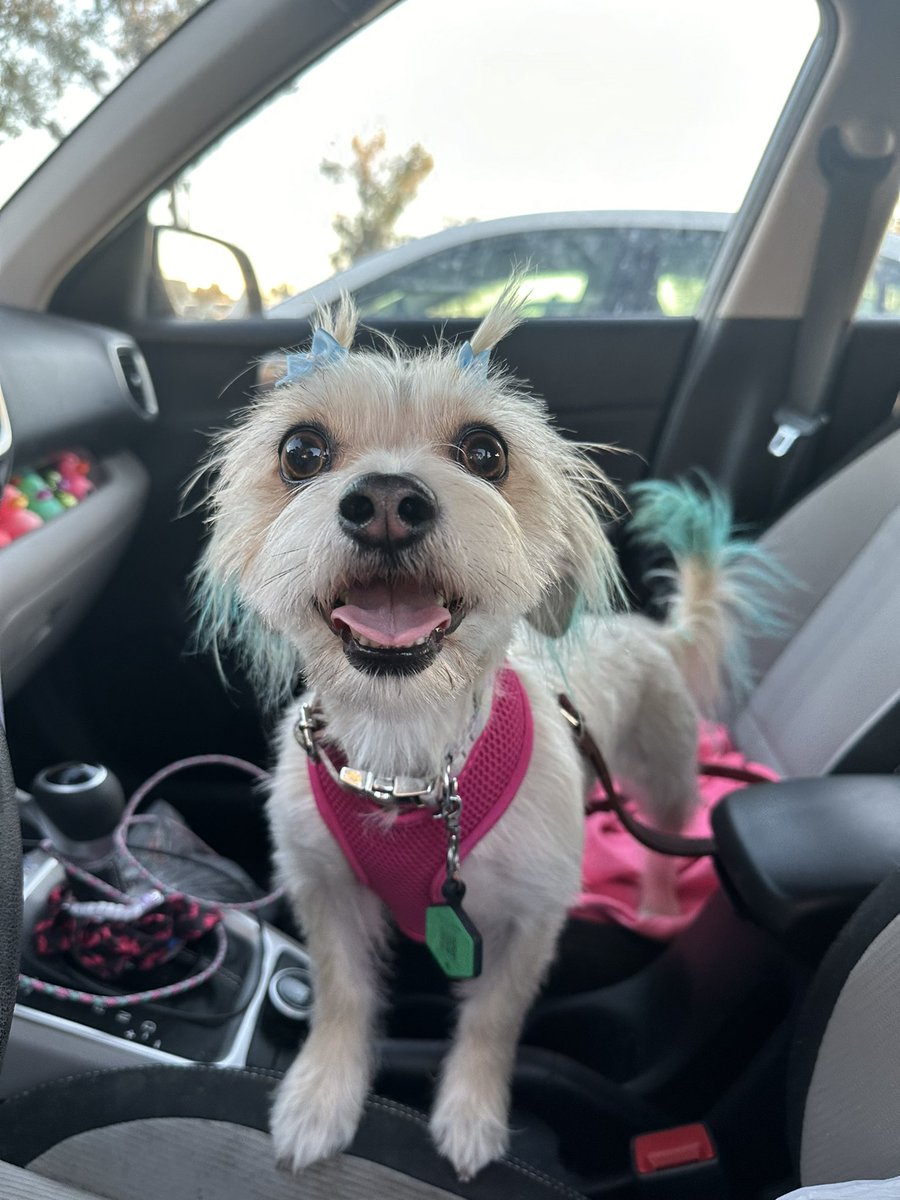 blythe🌿 tweet media