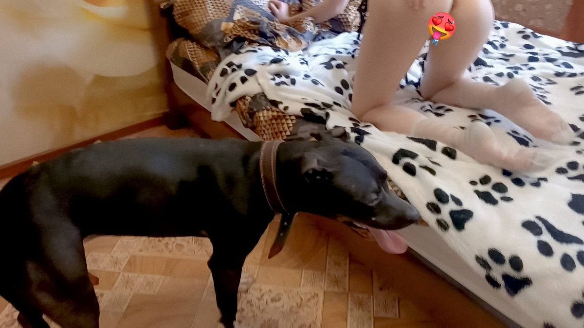 brendabug9's tweet photo. Dm for my menu and Dropbox. I have the best super dogknotting content 🐶🐶❤️Link in my bio👇👇
 https://t.co/nN5mUyTvAk
#dogsex #trendingshorts #zoophiletwt #zoophilia #zoophile #zooprideisvalid #zoophilesarevalid #wildcontent #beastiality #doggystyle https://t.co/F6D581cZQS