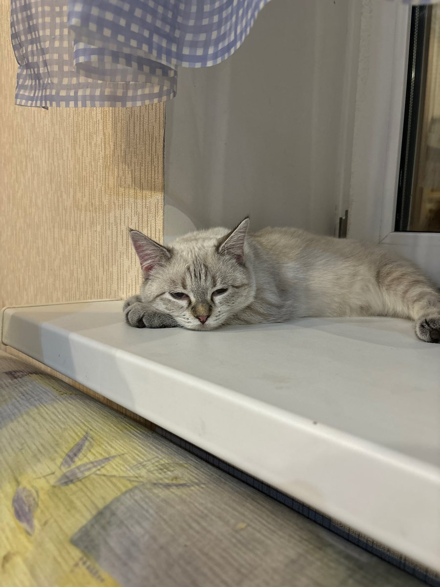jmismb's tweet photo. последние дни примерно такие https://t.co/wtu7NlZnBM